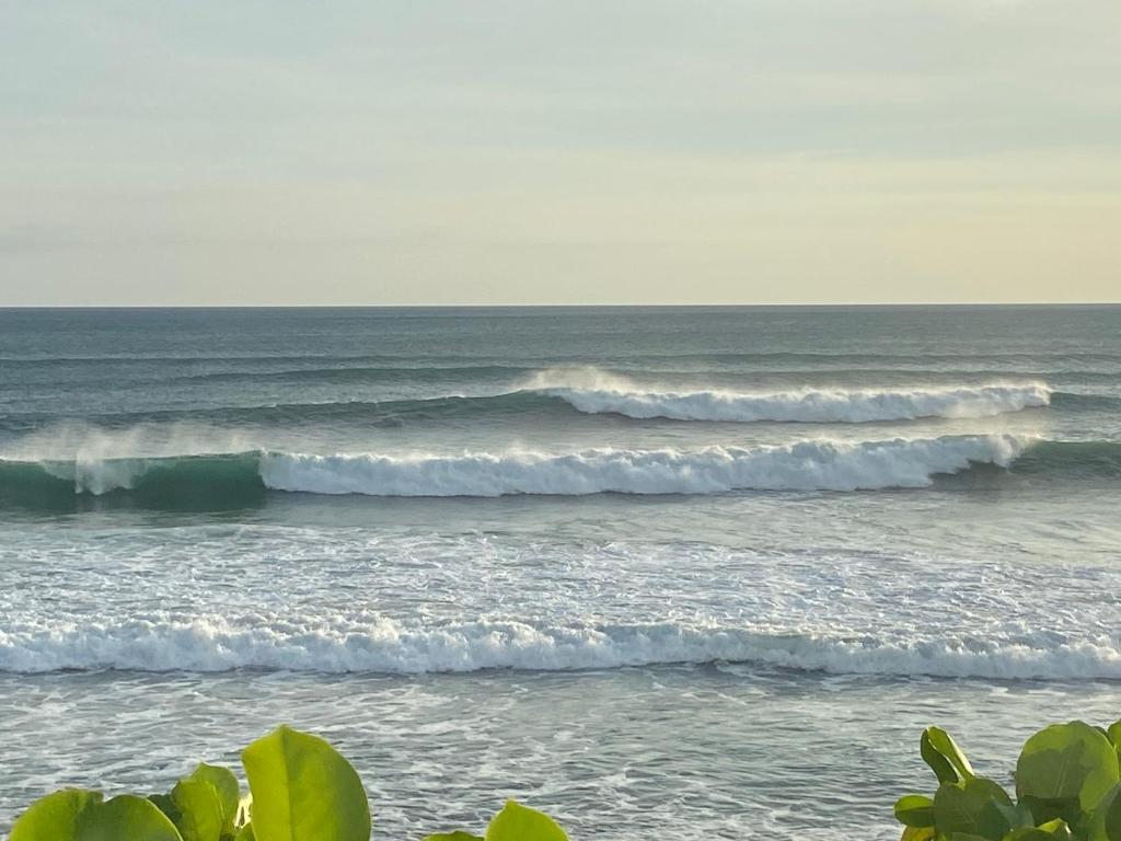 Hacienda Iguana Surf & Golf photo 4