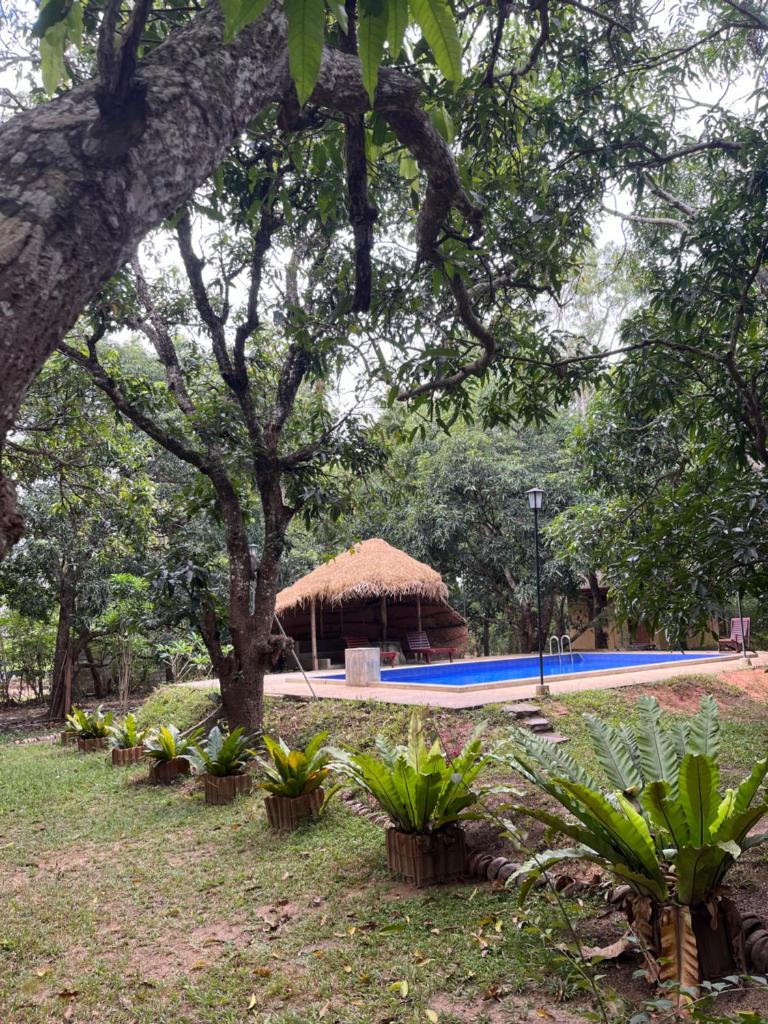 Bissa Villa photo 1
