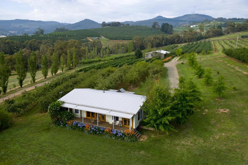 Borrodell Vineyard photo 2