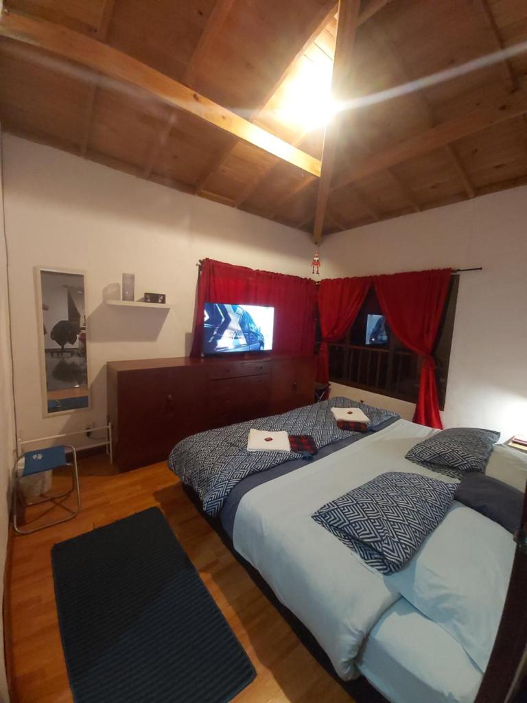 CAMPIÑA SUIZA photo 2