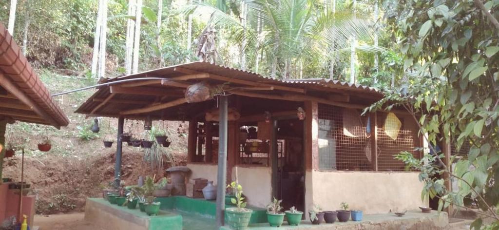 Werapitiya Galagoda Walawwa (වේරපිටිය ගලගොඩ වලව්ව) photo 4