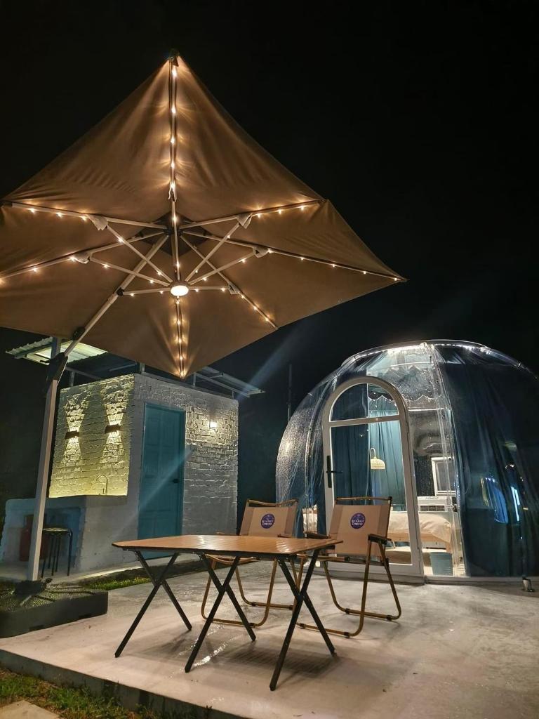 The Starry Dome