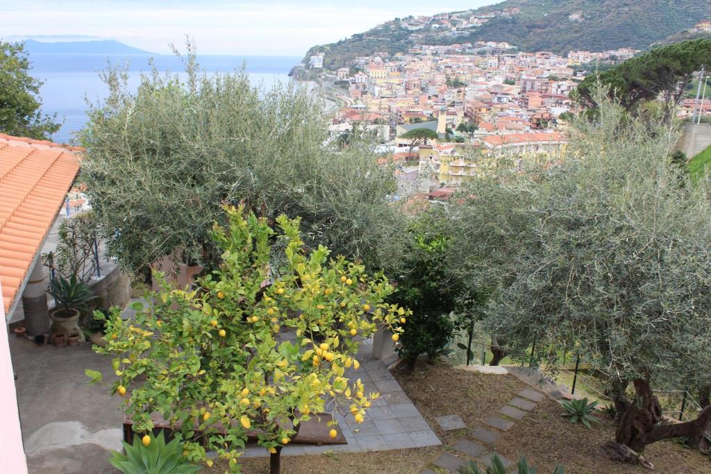 Casa Spisidda Panarea per 4 con vista sulle Eolie photo 3