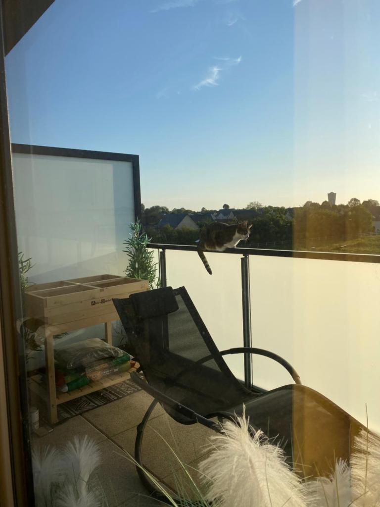 Appartement proche Ouistreham, 2 chambres photo 2