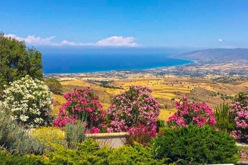 Villa Angelena photo 3
