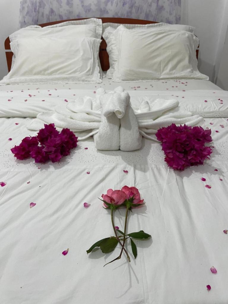 The Dream Inn photo 3