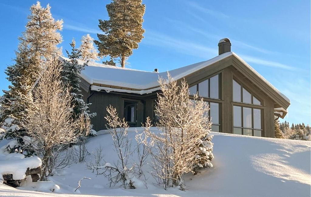 Pet Friendly Home In Gl With Kitchen