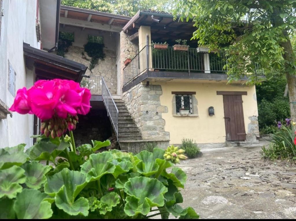 Les Maisons des Fleurs /IL NIDO DELLE CIVETTE