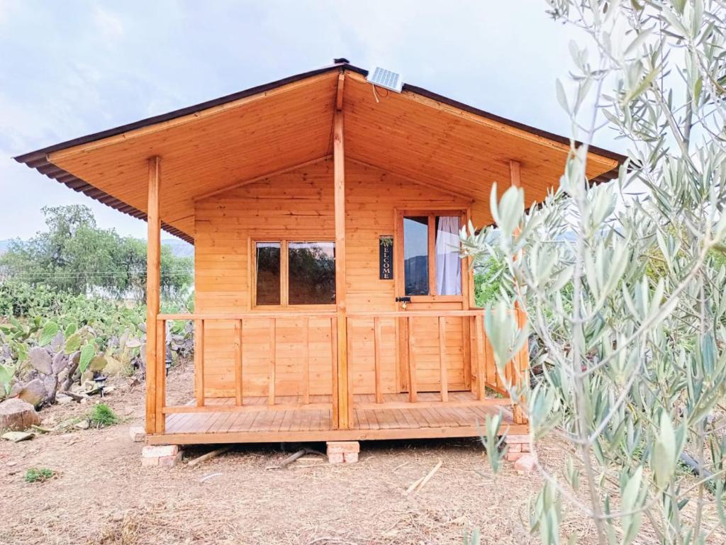 EL GLAMPING DE CALIXTO photo 1