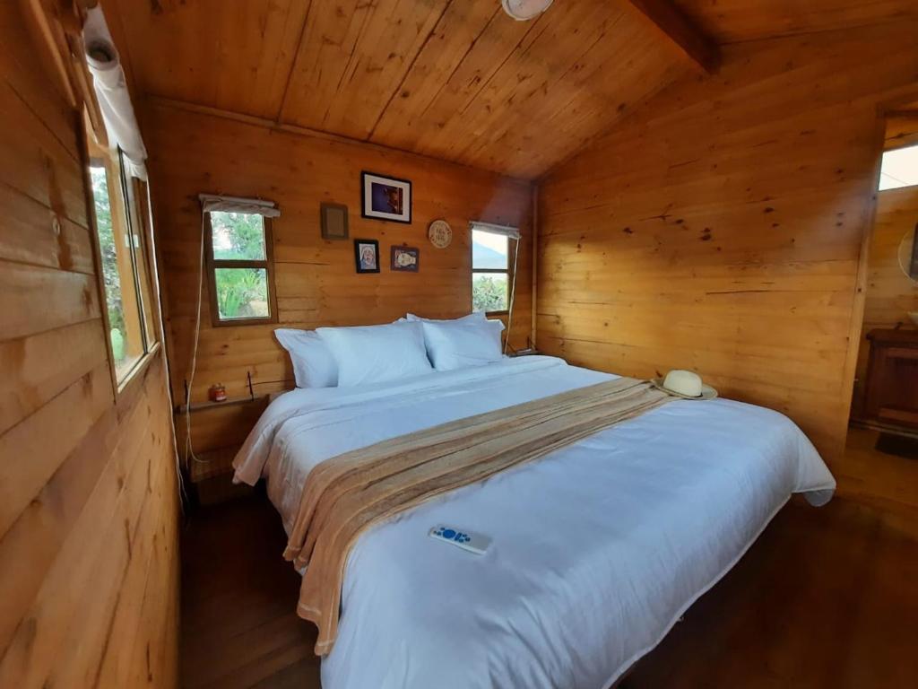 EL GLAMPING DE CALIXTO photo 2