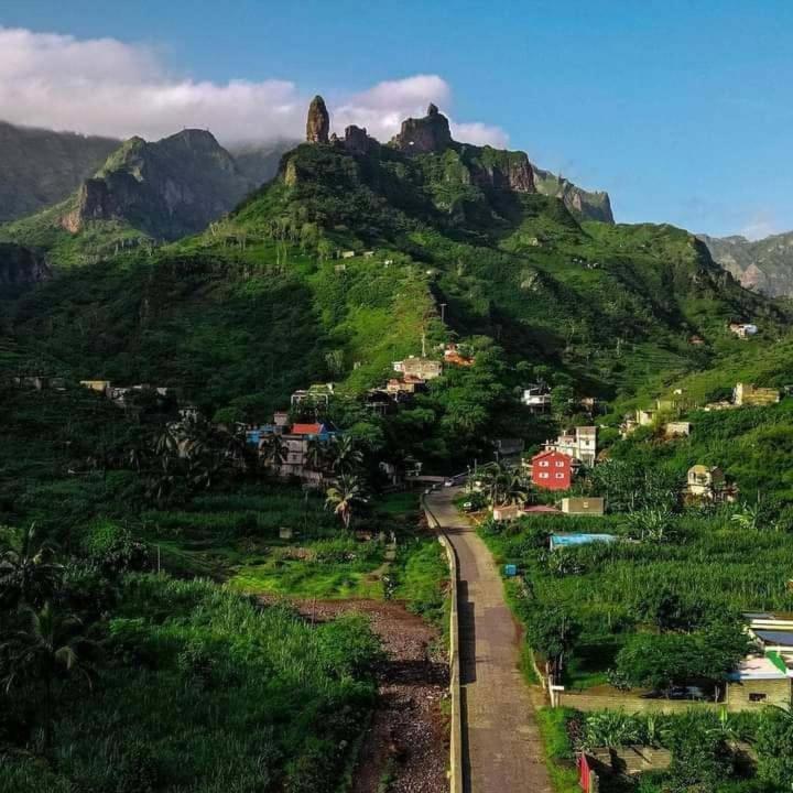 Pam de Terra