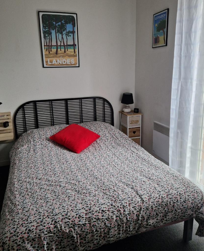 Appartement de 2 chambres avec piscine partagee terrasse amenagee et wifi a Dax photo 1