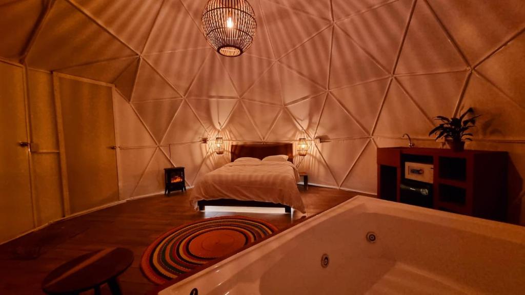 HoM Glamping-zingo