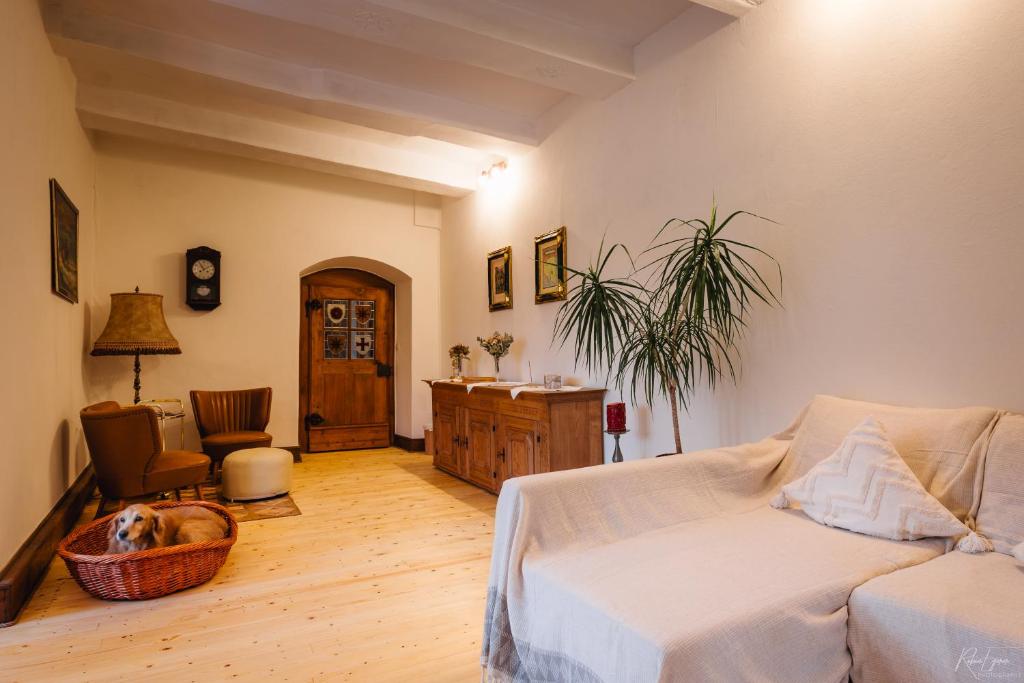 Ferienwohnung Graf Heinrich photo 2