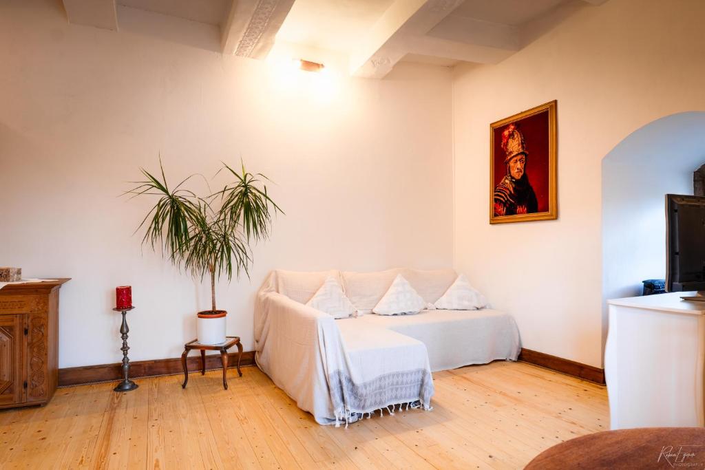 Ferienwohnung Graf Heinrich photo 1