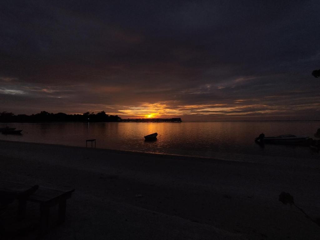 Ninos K.Guraidhoo photo 2