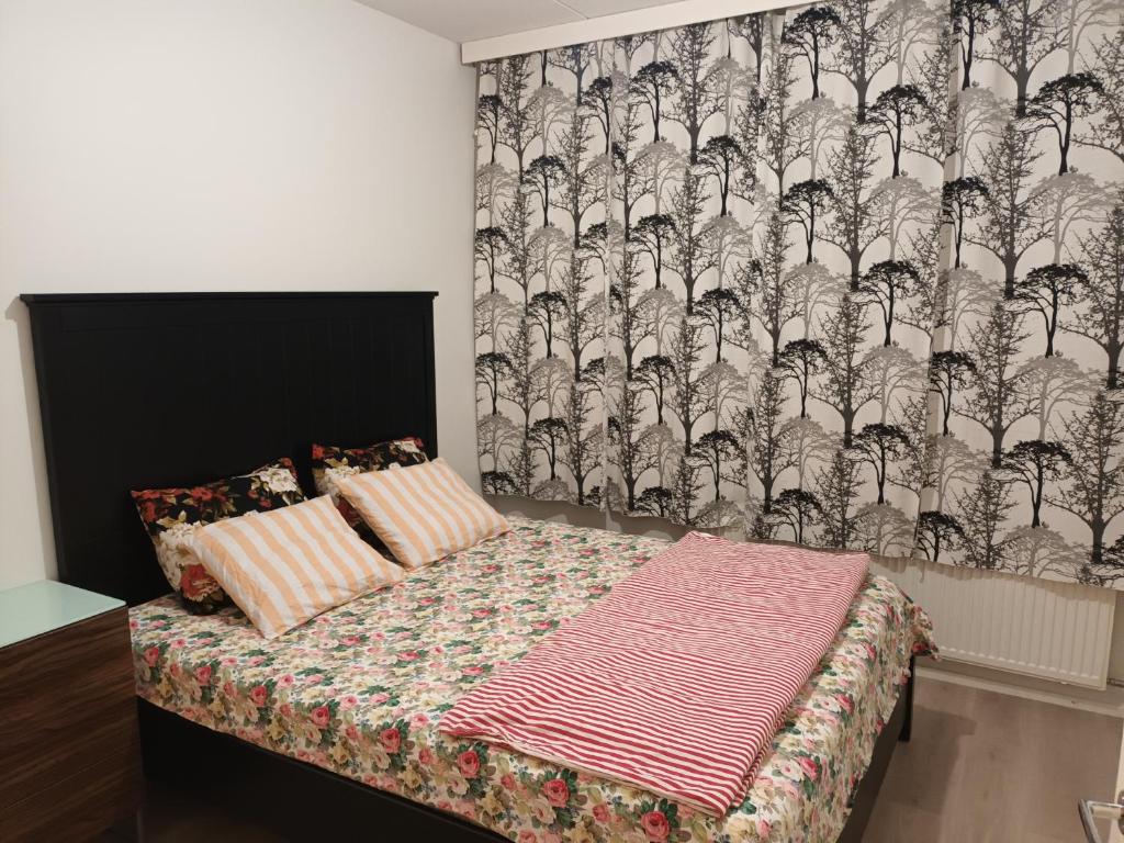 Centrally Located Studio Apartment photo 1