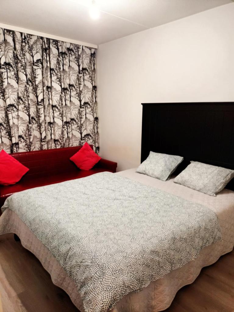 Centrally Located Studio Apartment photo 3