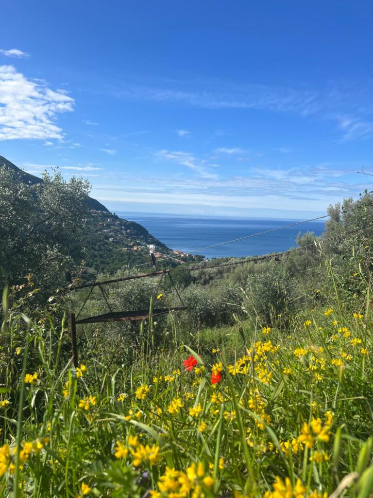 Olivetta House Holiday photo 3