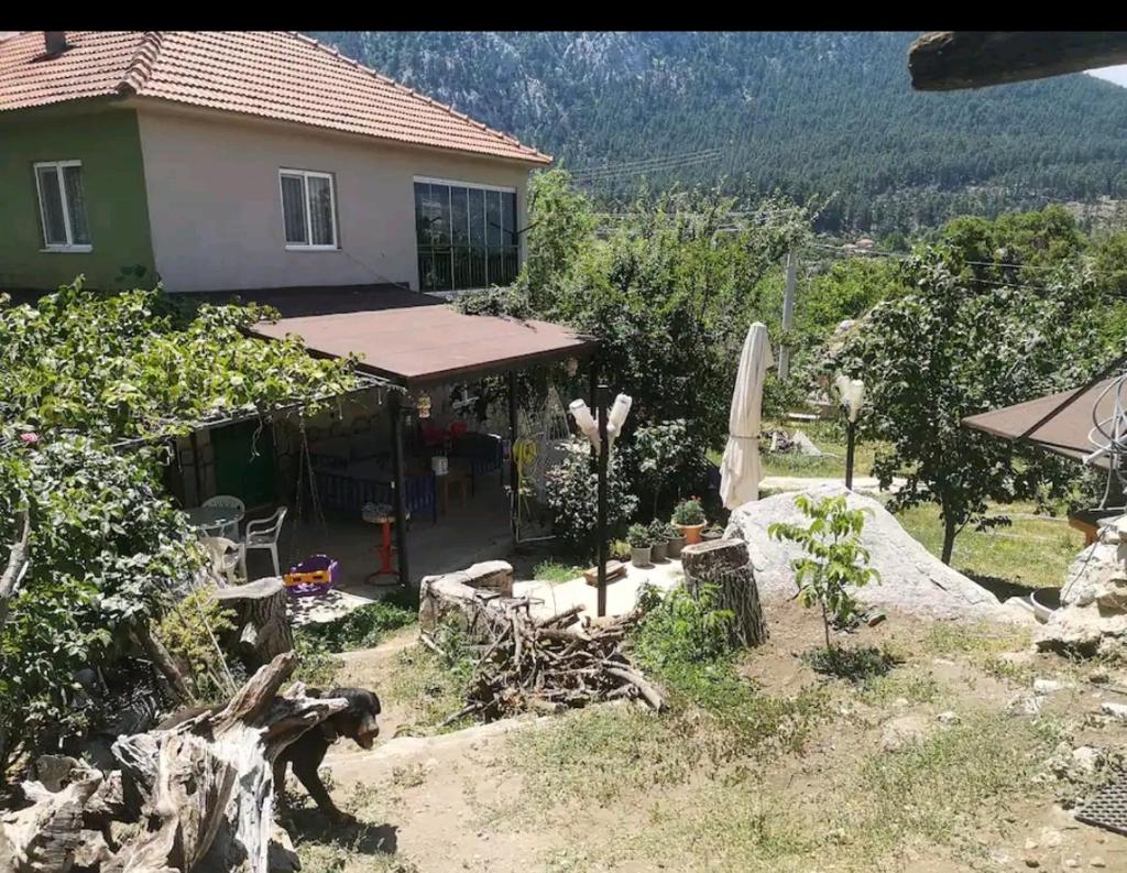 Canerbey Çiftlik Dağ Evi 2 photo 2