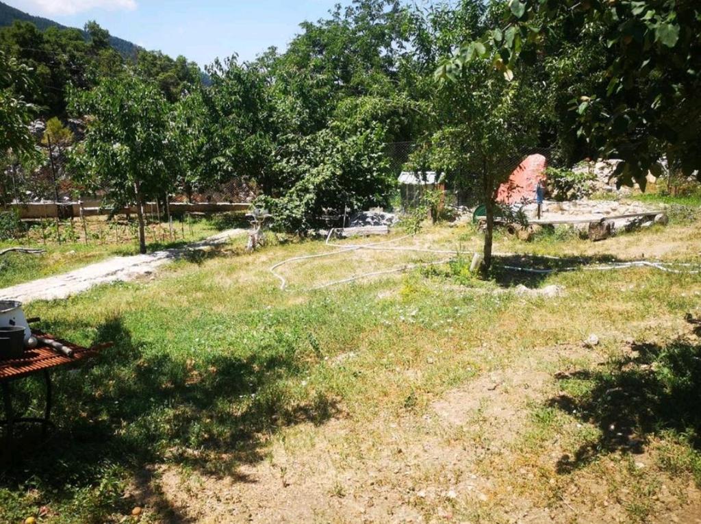 Canerbey Çiftlik Dağ Evi 2 photo 4