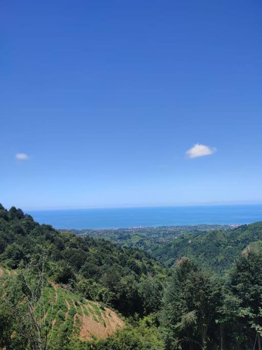 zurzi bungalov photo 4