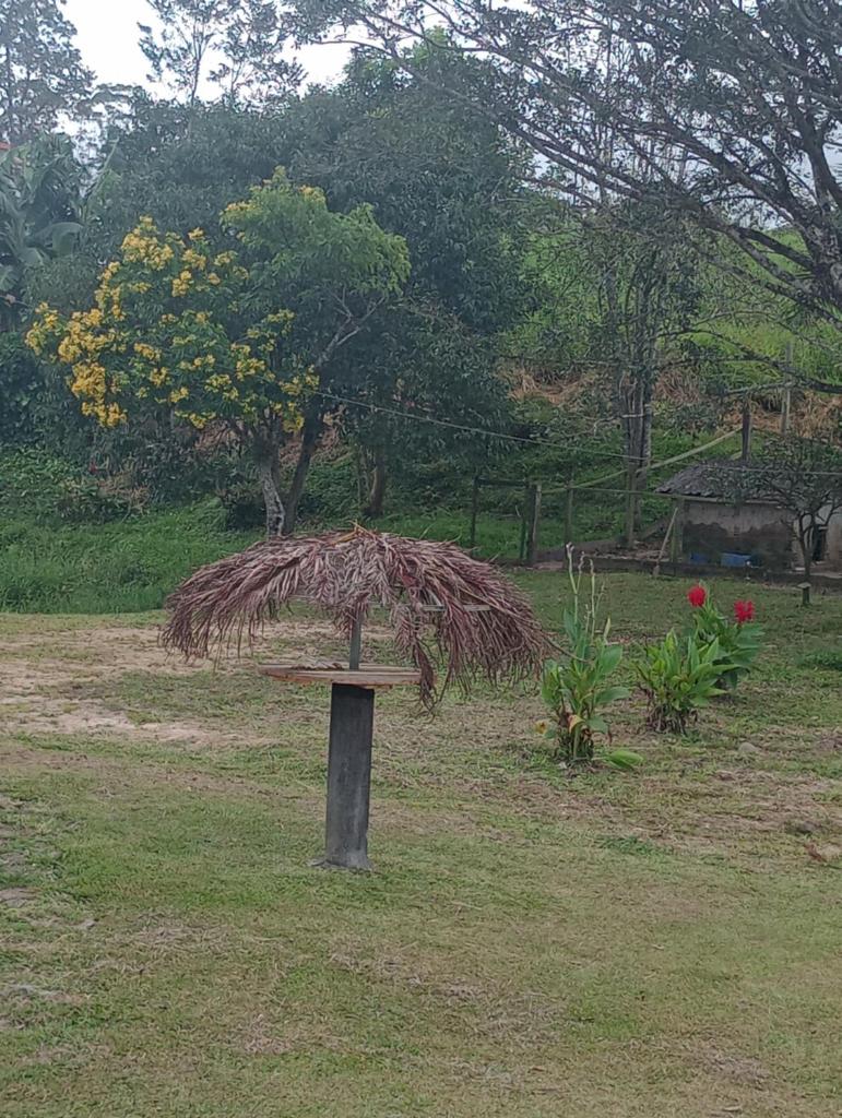 Família Cataneo photo 1