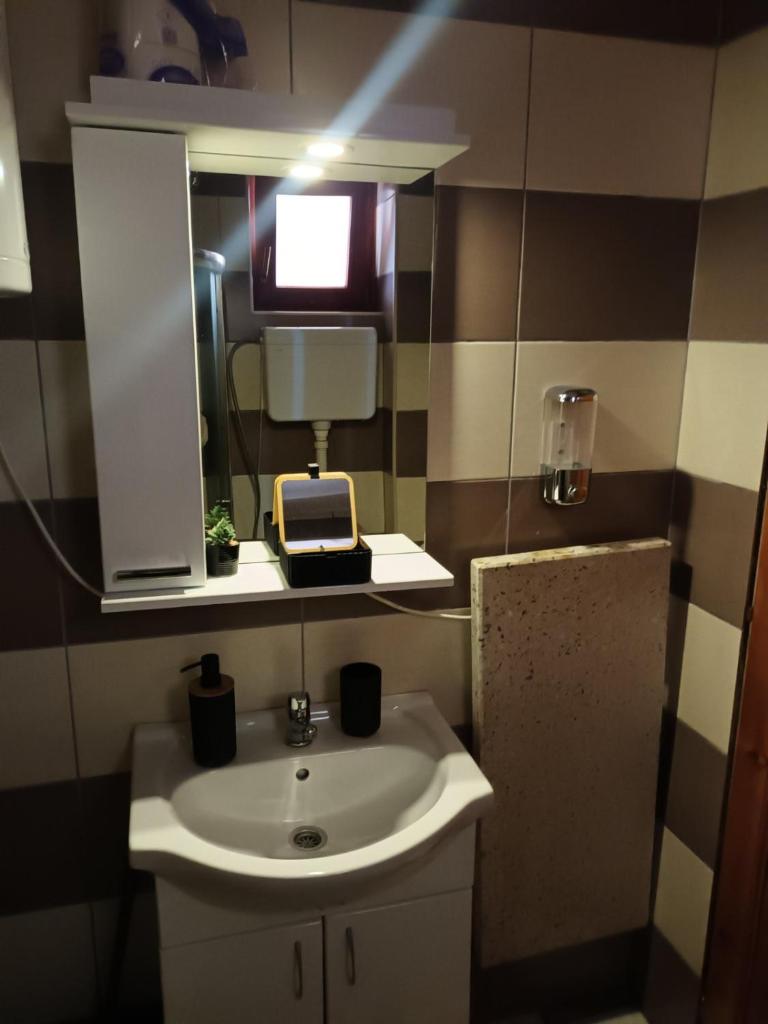 Simic Apartmani Tara photo 1