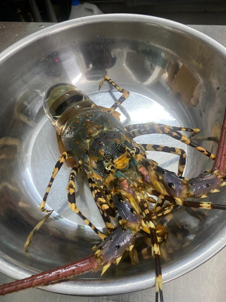 Tam Coc La Montagne Resort & Spa