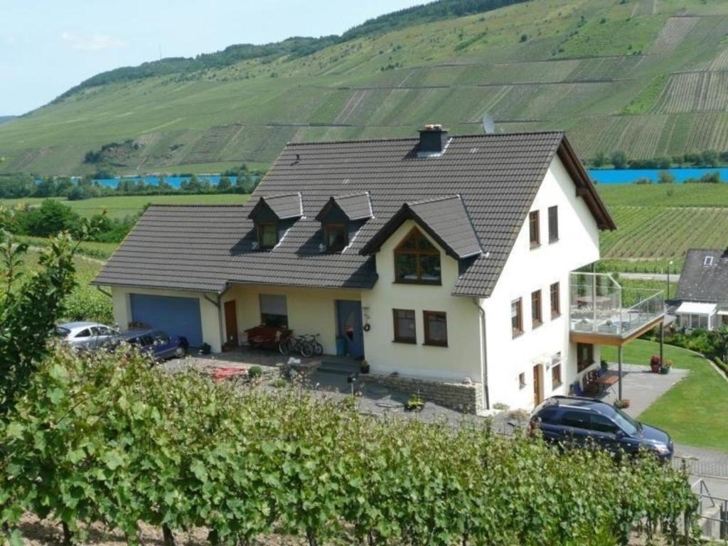 Moderne helle Ferienwohnung mit Terrasse und Moselblick