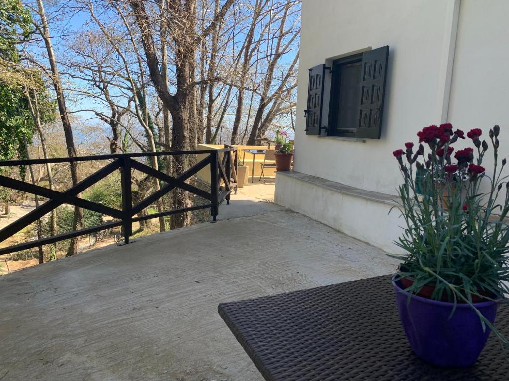 Pelion 7 Lives photo 3