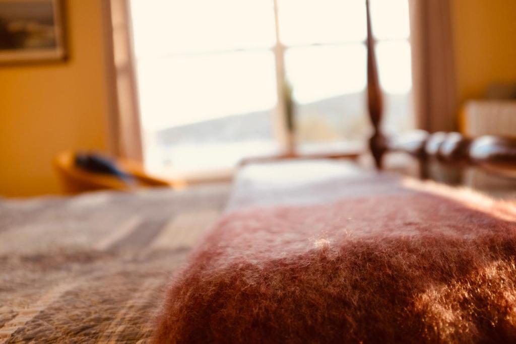 The Bread and Cheese Country Inn photo 3