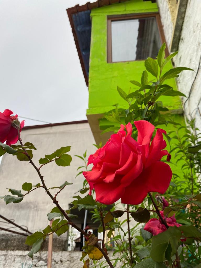 365 Παραμύθια Για Σενα photo 2