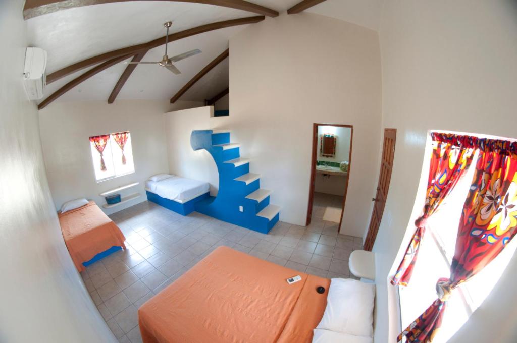 Surf Sanctuary photo 3
