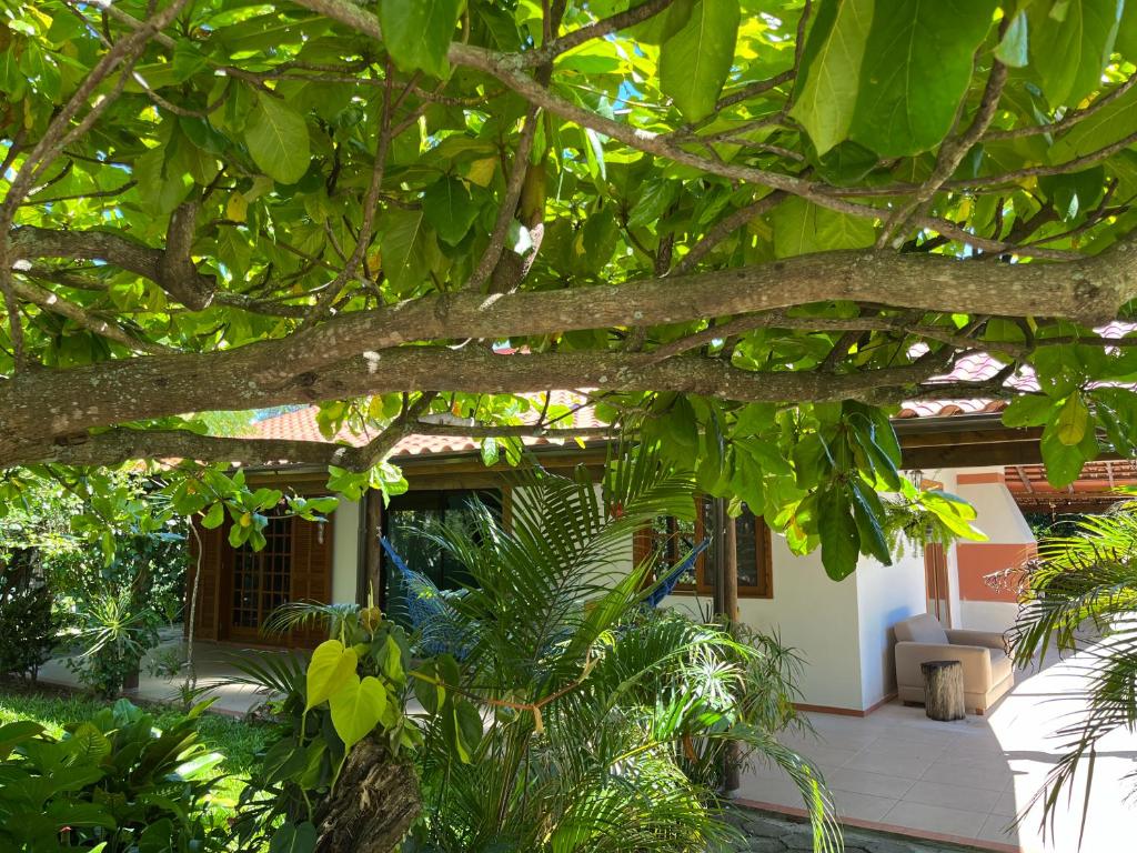 Casa na Barra ampla e arejada com jardim incrível photo 4