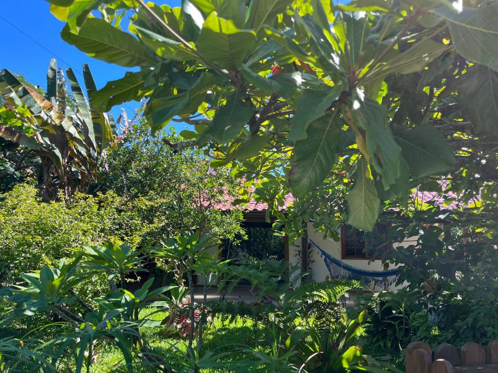 Casa na Barra ampla e arejada com jardim incrível photo 3