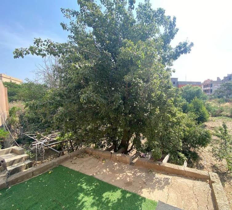 فيلا مع مزرعة صغيرة في اعلى قرية بالباحة photo 1
