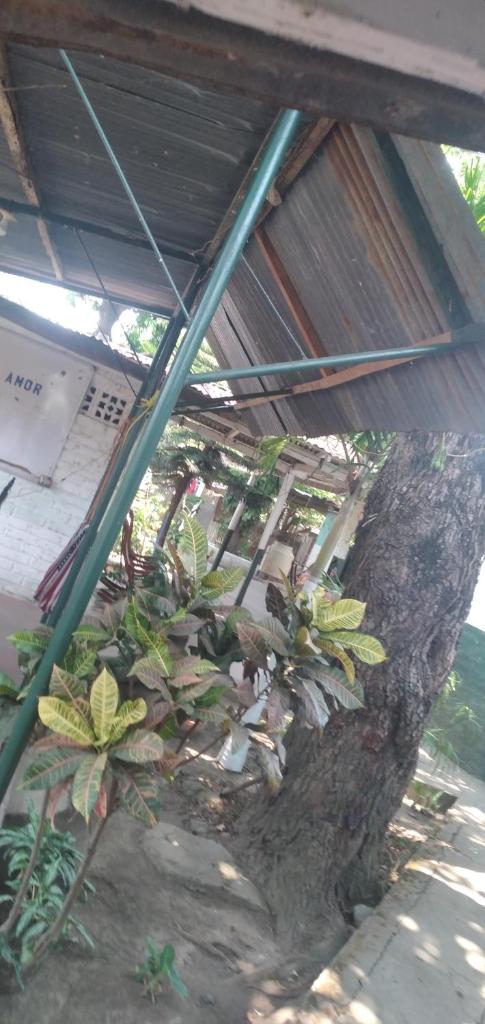 Ortiz Hospedaje Ometepe photo 1