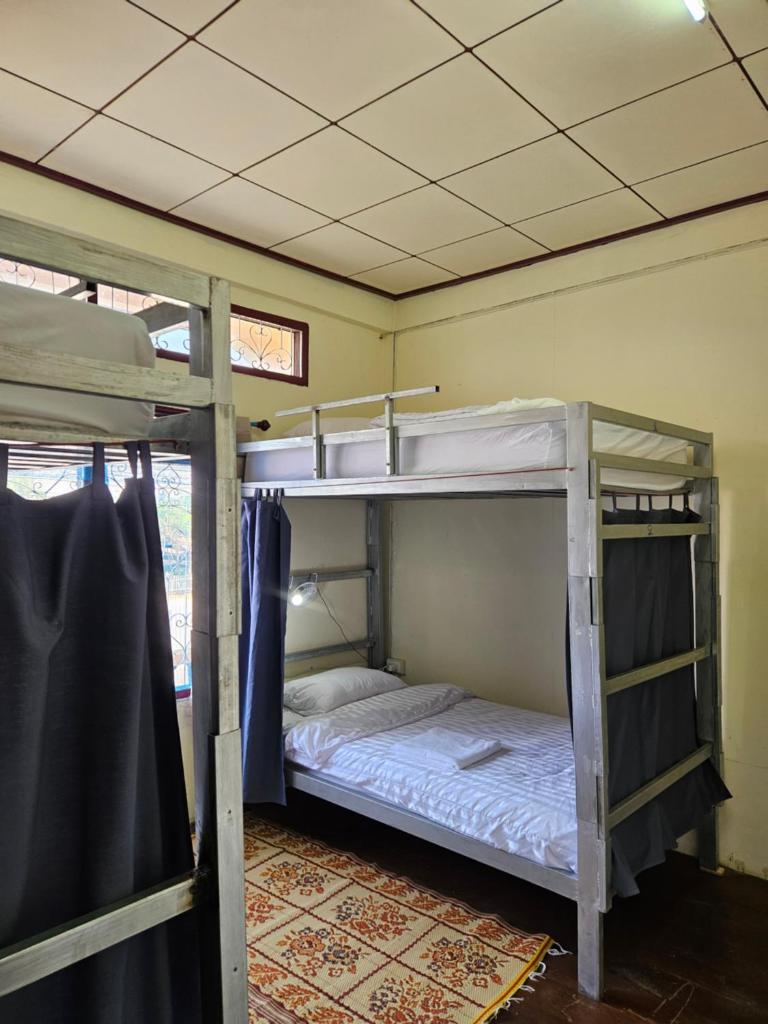 Kai Lions International Hostel photo 1