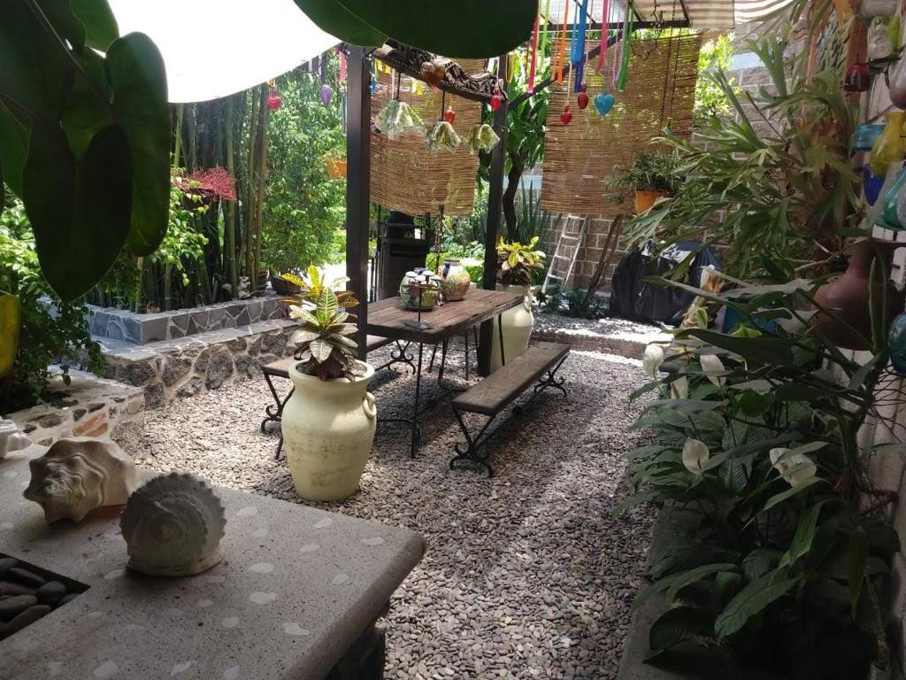 Casa orquídea photo 3