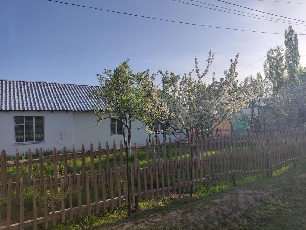 Нуска конок уйу photo 2