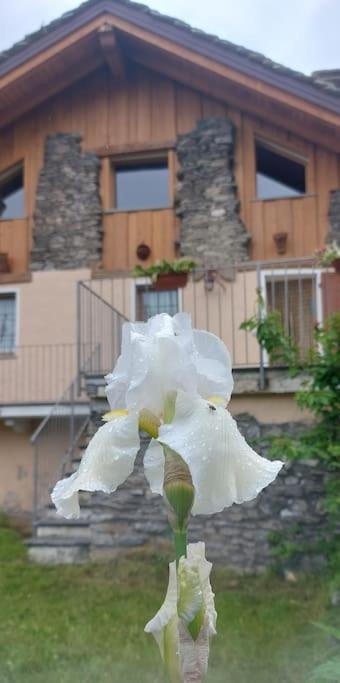 Valle D'Aosta a 360° - Ideal for smart working photo 3