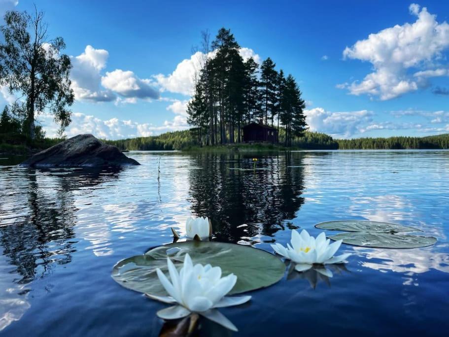 Water front scandinavian Forest View with no neighbors photo 3