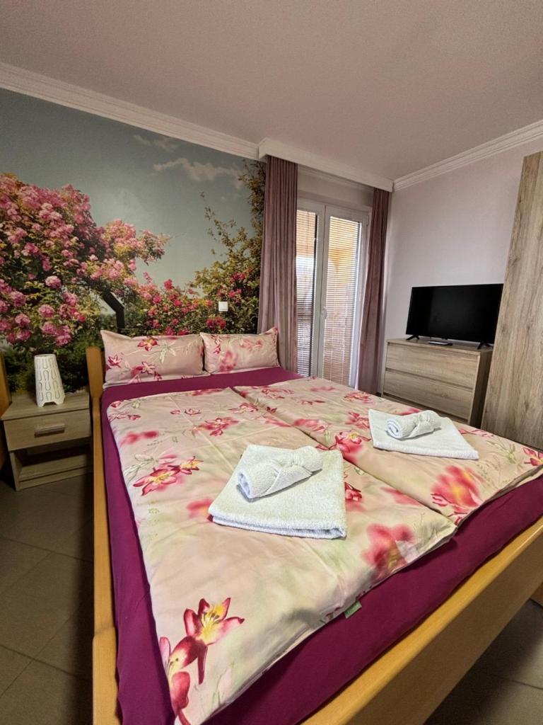 Apartmani "MARIJA" Golubac photo 4