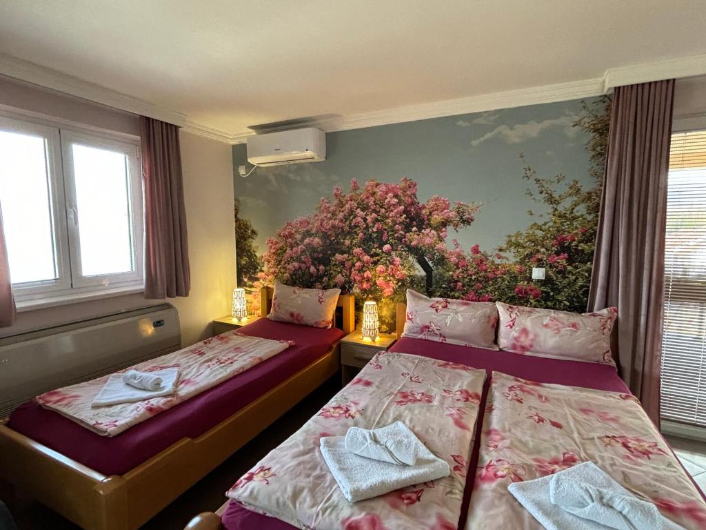 Apartmani "MARIJA" Golubac photo 3