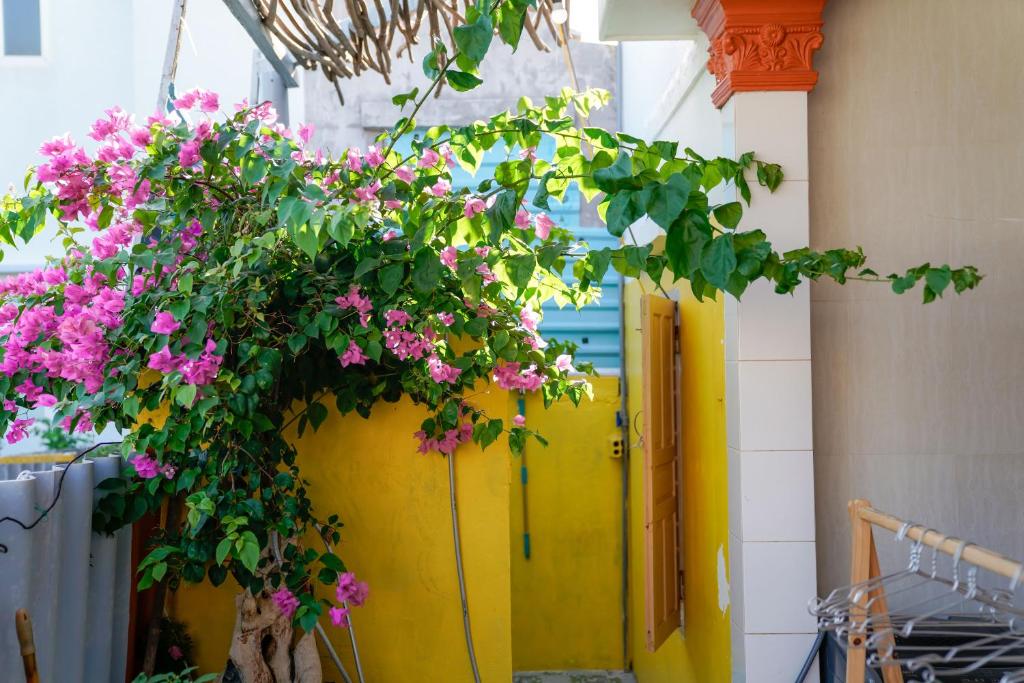 Xa Bờ Homestay Đảo Phú Quý photo 4