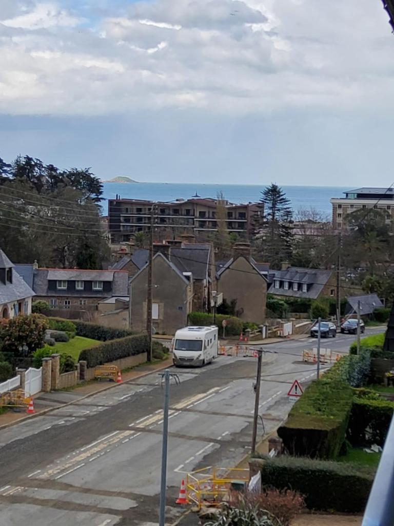 Les goélands photo 1