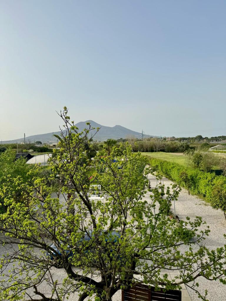 Villa Valentino Pompeji photo 1