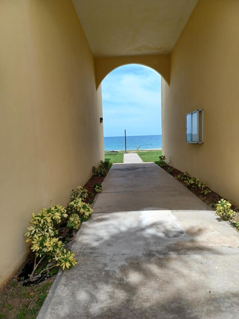 Beachfront Bliss photo 3