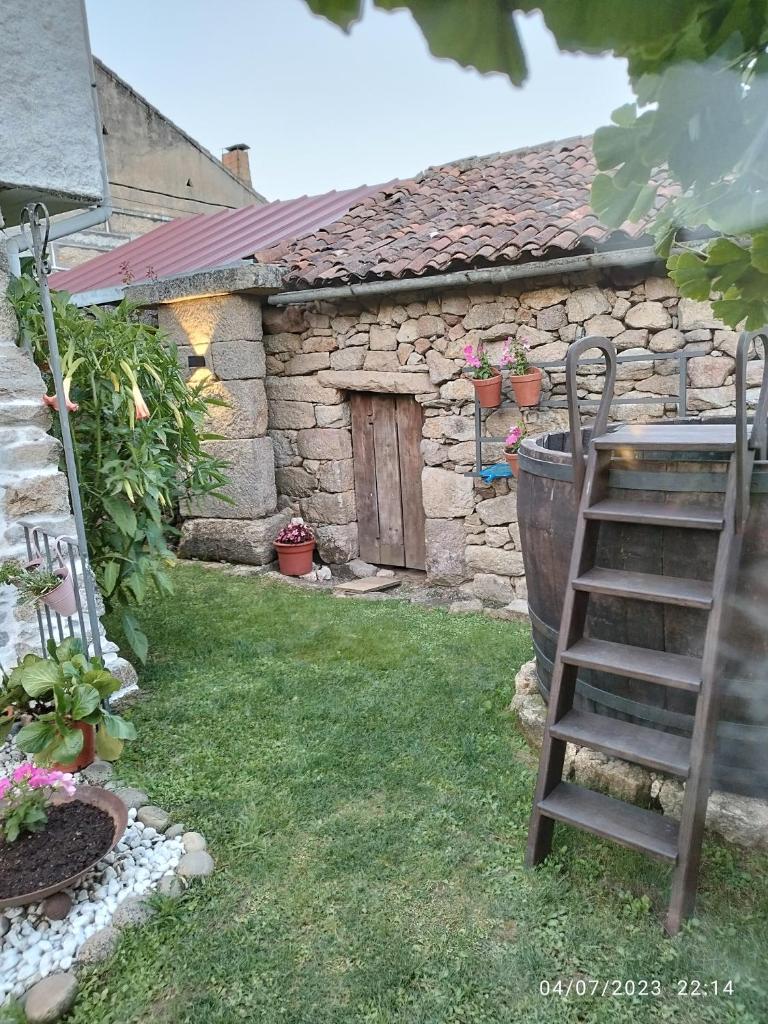 Casa Elvira photo 4